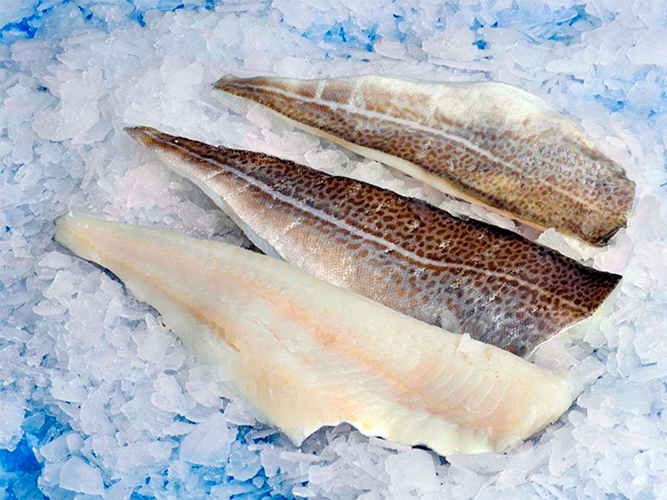 Compra filetes de bacalao