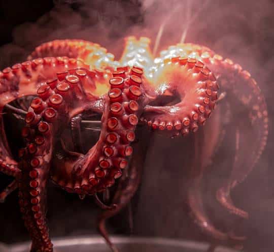 Pulpo Cocido